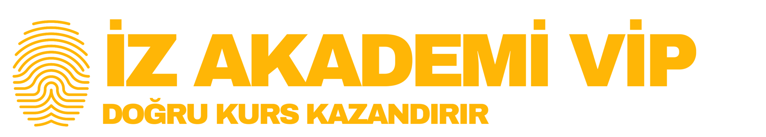 İZ AKADEMİ VİP